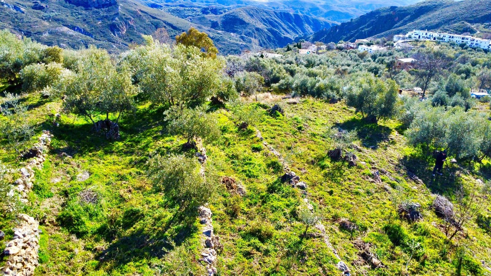 Undeveloped Land for sale in Alpujarra de la Sierra - € 11,900 (Ref: 9543515)