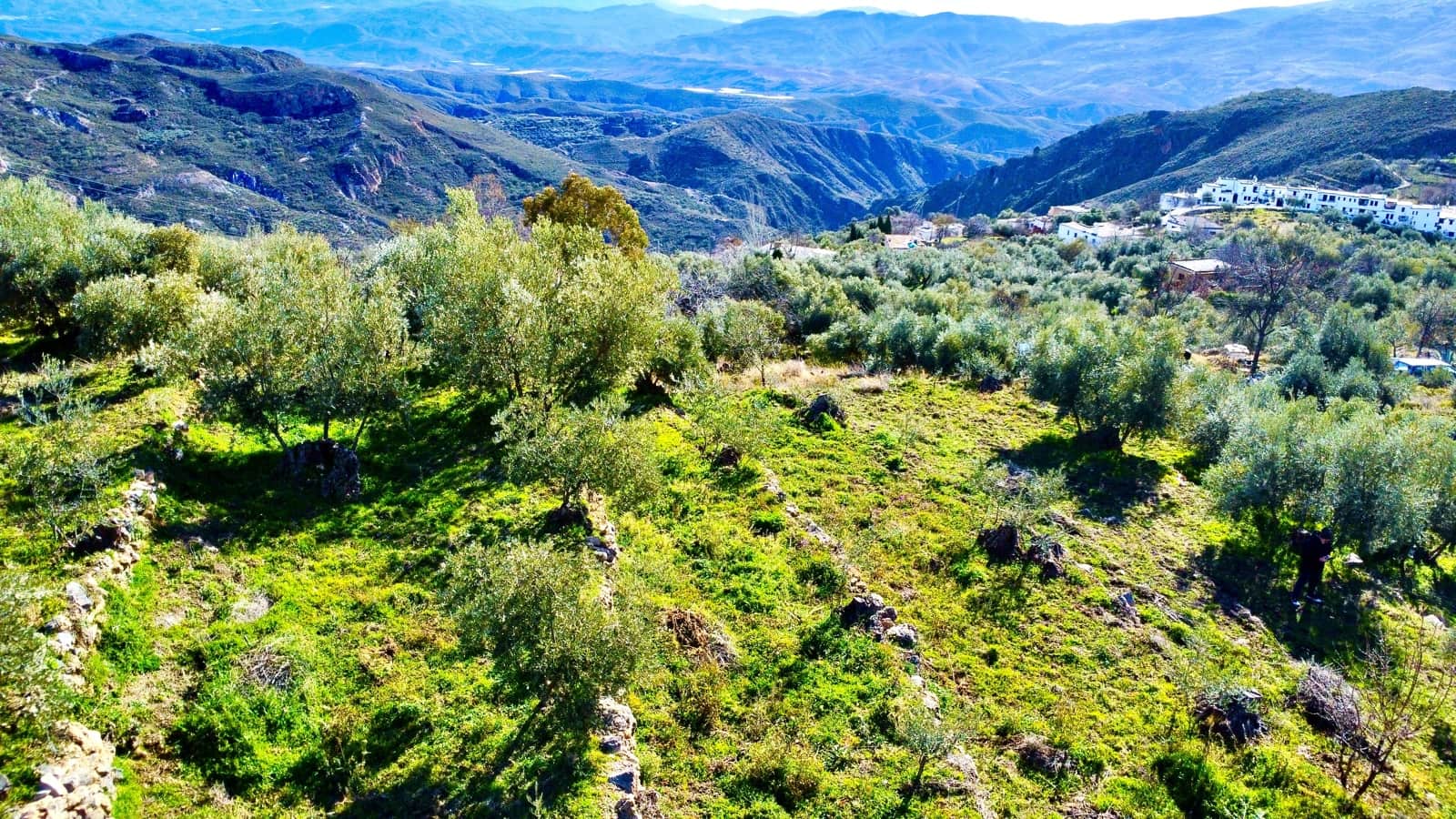 Undeveloped Land for sale in Alpujarra de la Sierra - € 11,900 (Ref: 9543515)