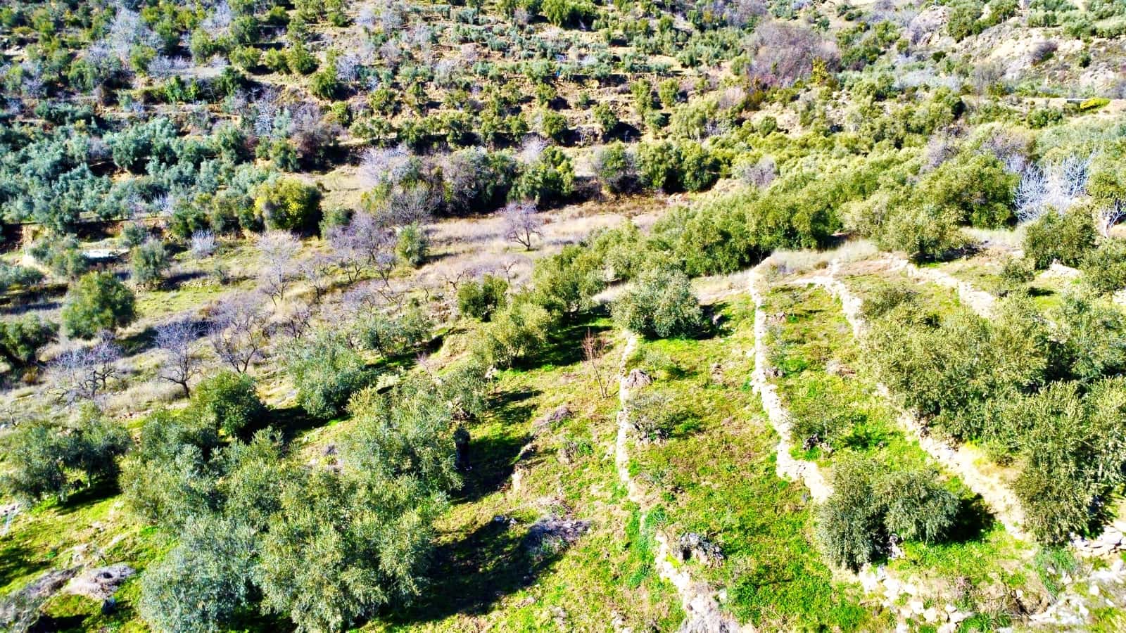 Undeveloped Land for sale in Alpujarra de la Sierra - € 11,900 (Ref: 9543515)