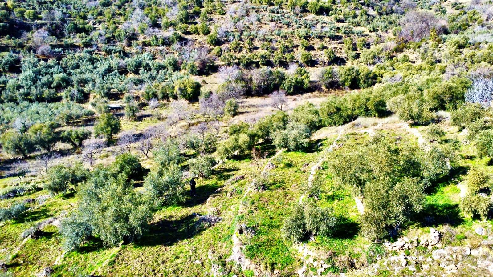 Undeveloped Land for sale in Alpujarra de la Sierra - € 11,900 (Ref: 9543515)