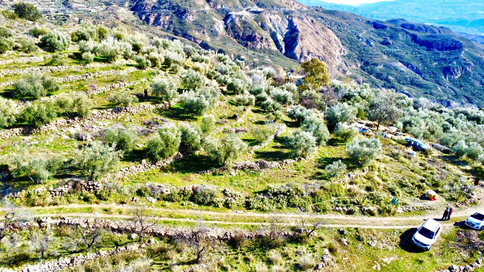 Undeveloped Land for sale in Alpujarra de la Sierra - € 11,900 (Ref: 9543515)
