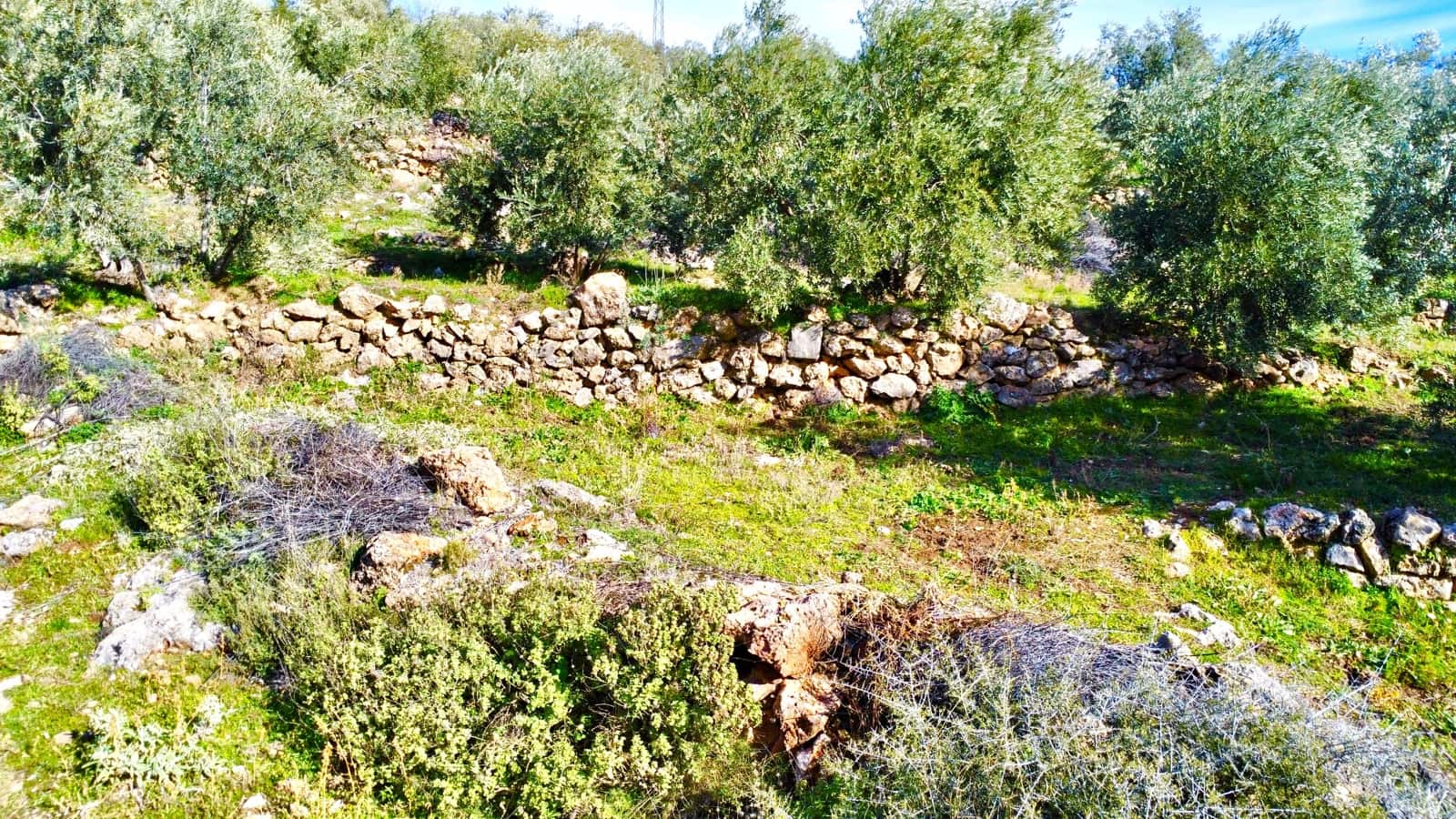 Undeveloped Land for sale in Alpujarra de la Sierra - € 11,900 (Ref: 9543515)