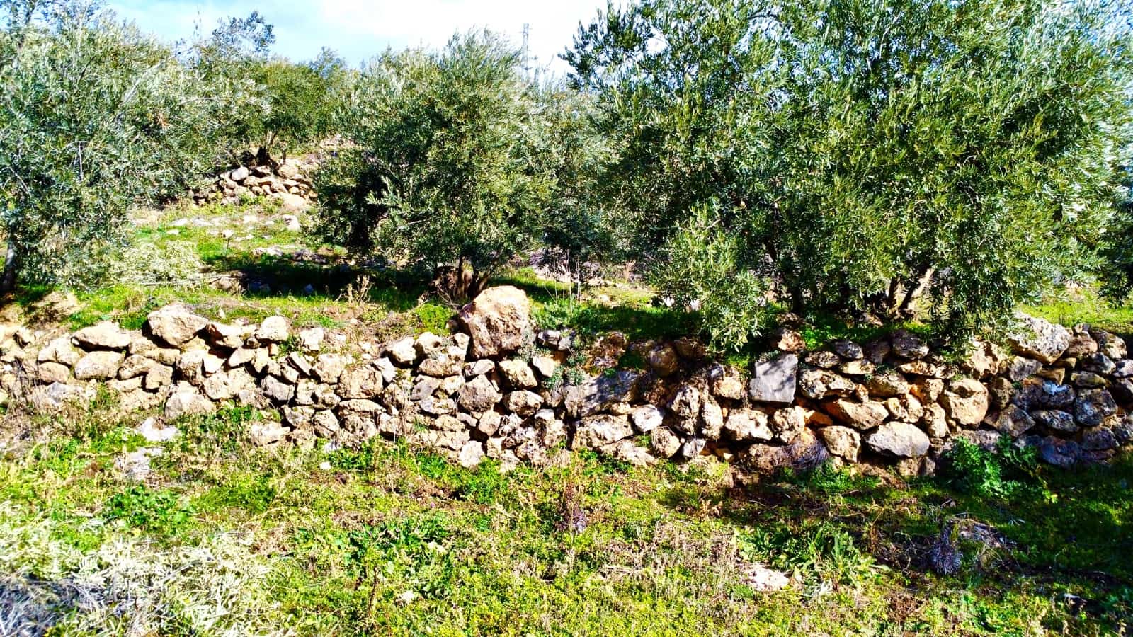 Undeveloped Land for sale in Alpujarra de la Sierra - € 11,900 (Ref: 9543515)