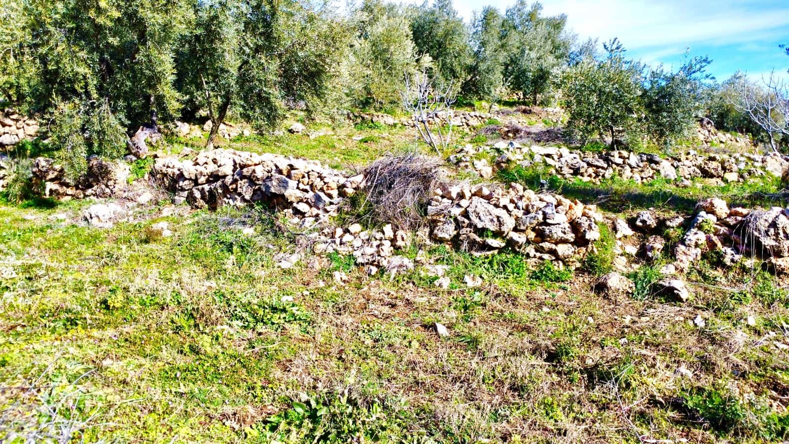 Undeveloped Land for sale in Alpujarra de la Sierra - € 11,900 (Ref: 9543515)