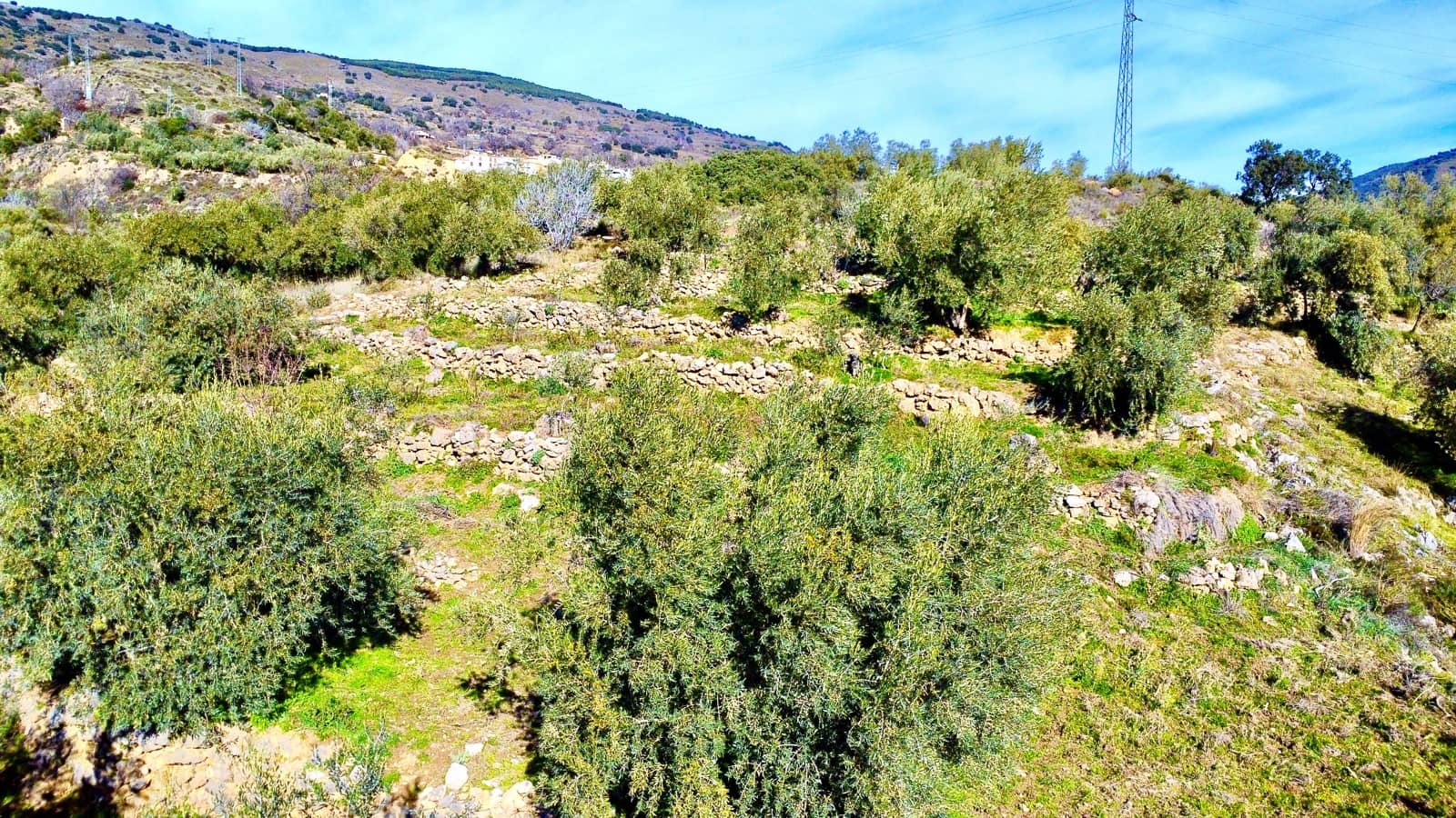 Undeveloped Land for sale in Alpujarra de la Sierra - € 11,900 (Ref: 9543515)