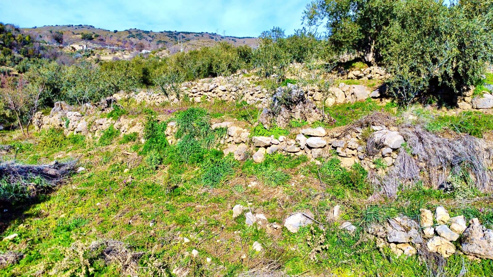 Undeveloped Land for sale in Alpujarra de la Sierra - € 11,900 (Ref: 9543515)