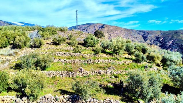 Teren niezagospodarowany na sprzedaż w Alpujarra de la Sierra - 11 900 € (Ref: 9543515)