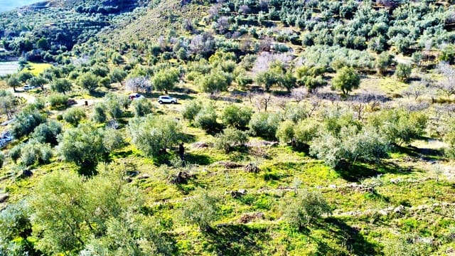 Teren niezagospodarowany na sprzedaż w Alpujarra de la Sierra - 11 900 € (Ref: 9543515)