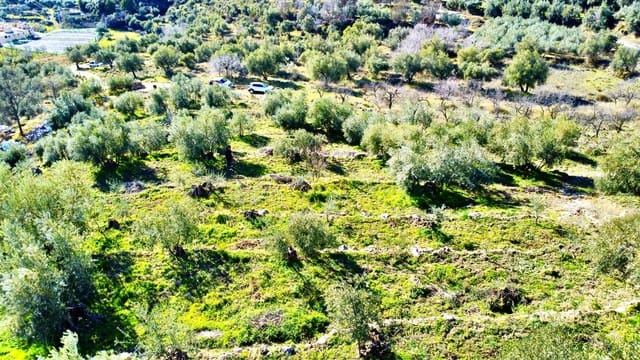 Teren niezagospodarowany na sprzedaż w Alpujarra de la Sierra - 11 900 € (Ref: 9543515)