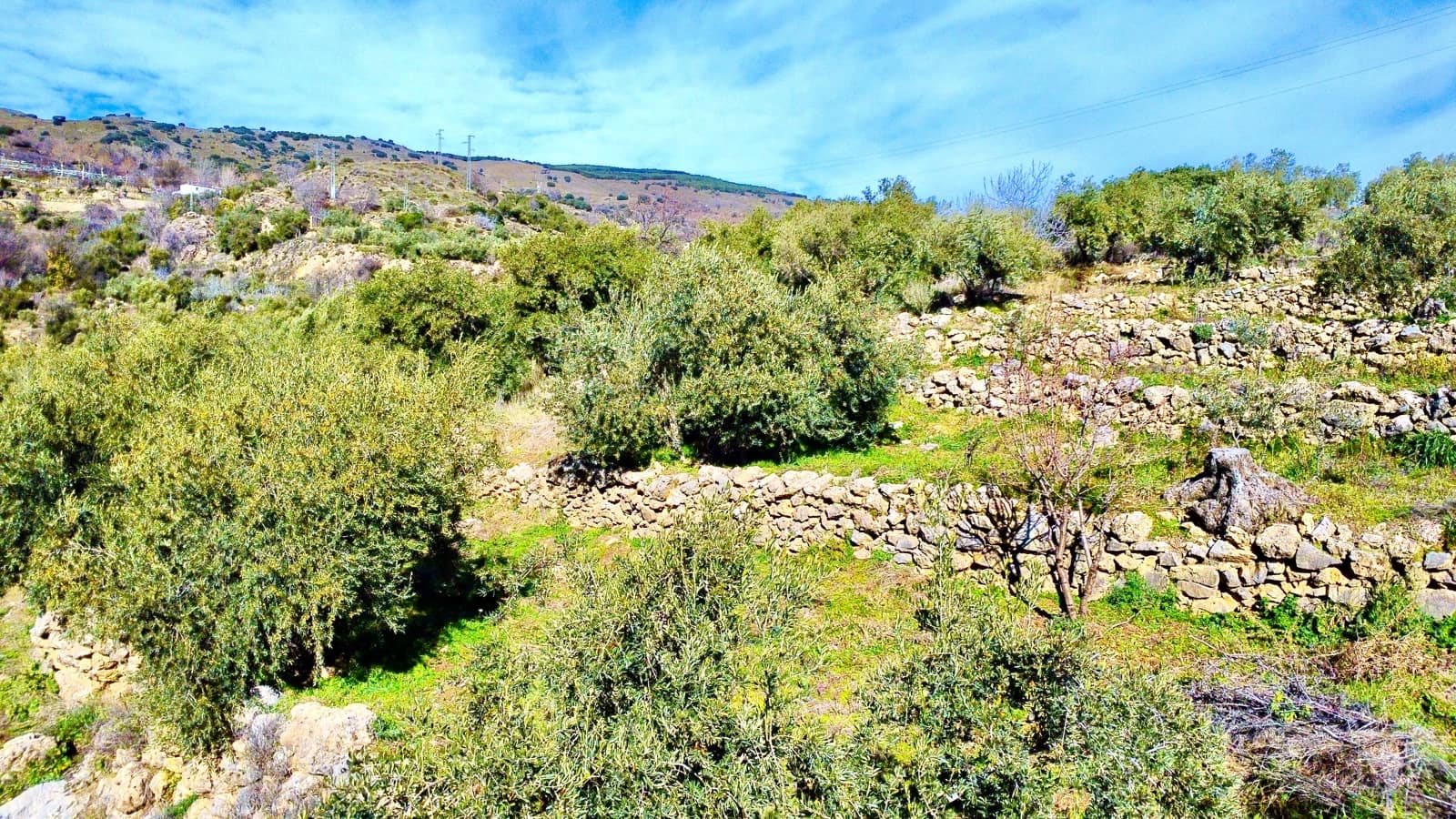 Undeveloped Land for sale in Alpujarra de la Sierra - € 11,900 (Ref: 9543515)