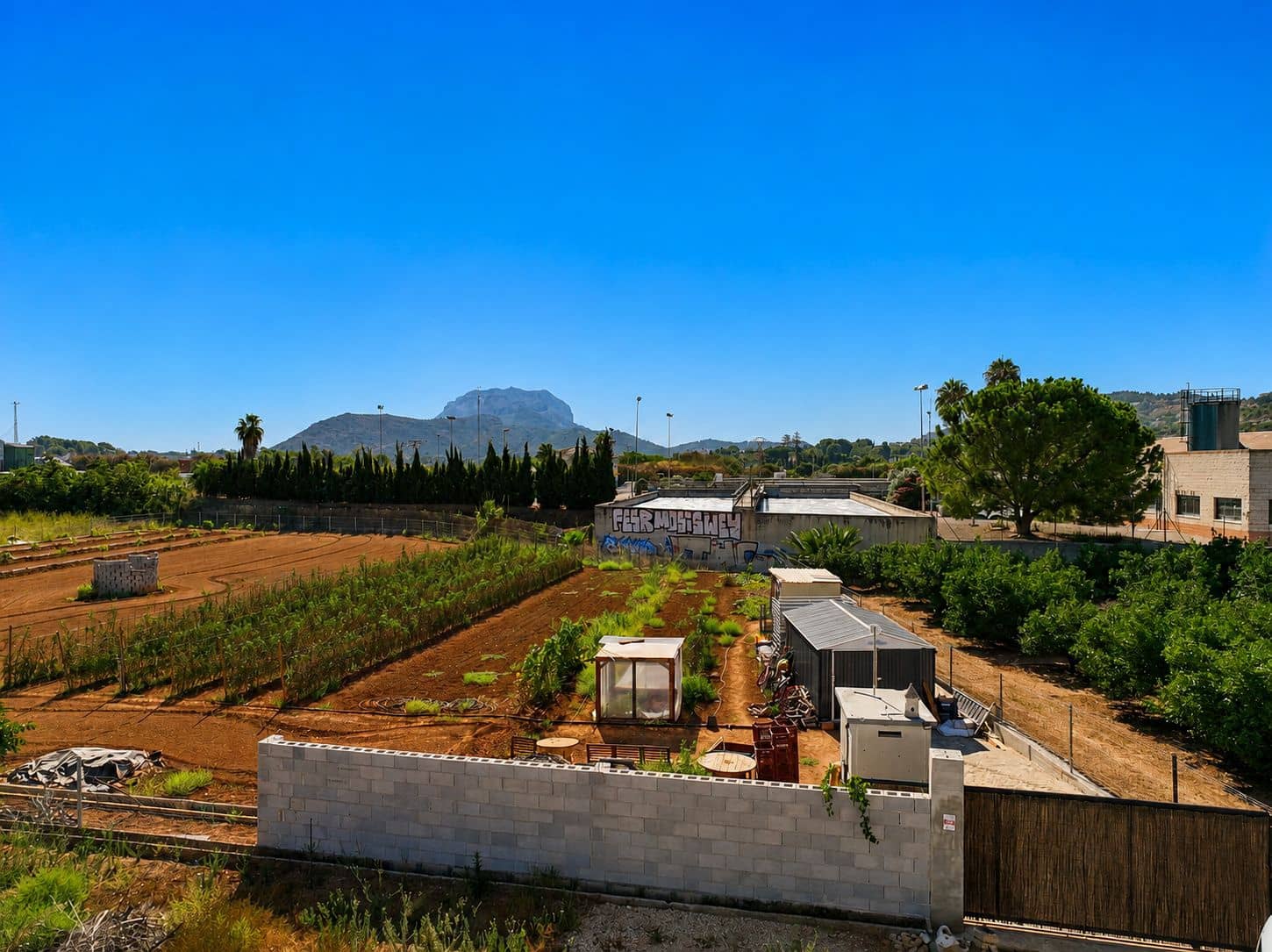 Building Plot for sale in Ondara - € 60,000 (Ref: 10019419)