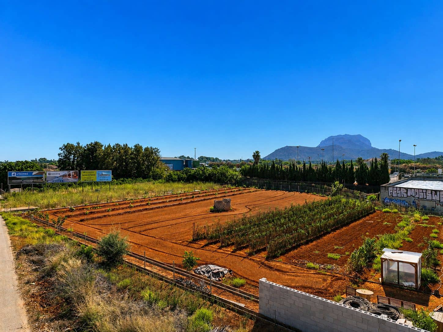 Building Plot for sale in Ondara - € 60,000 (Ref: 10019419)