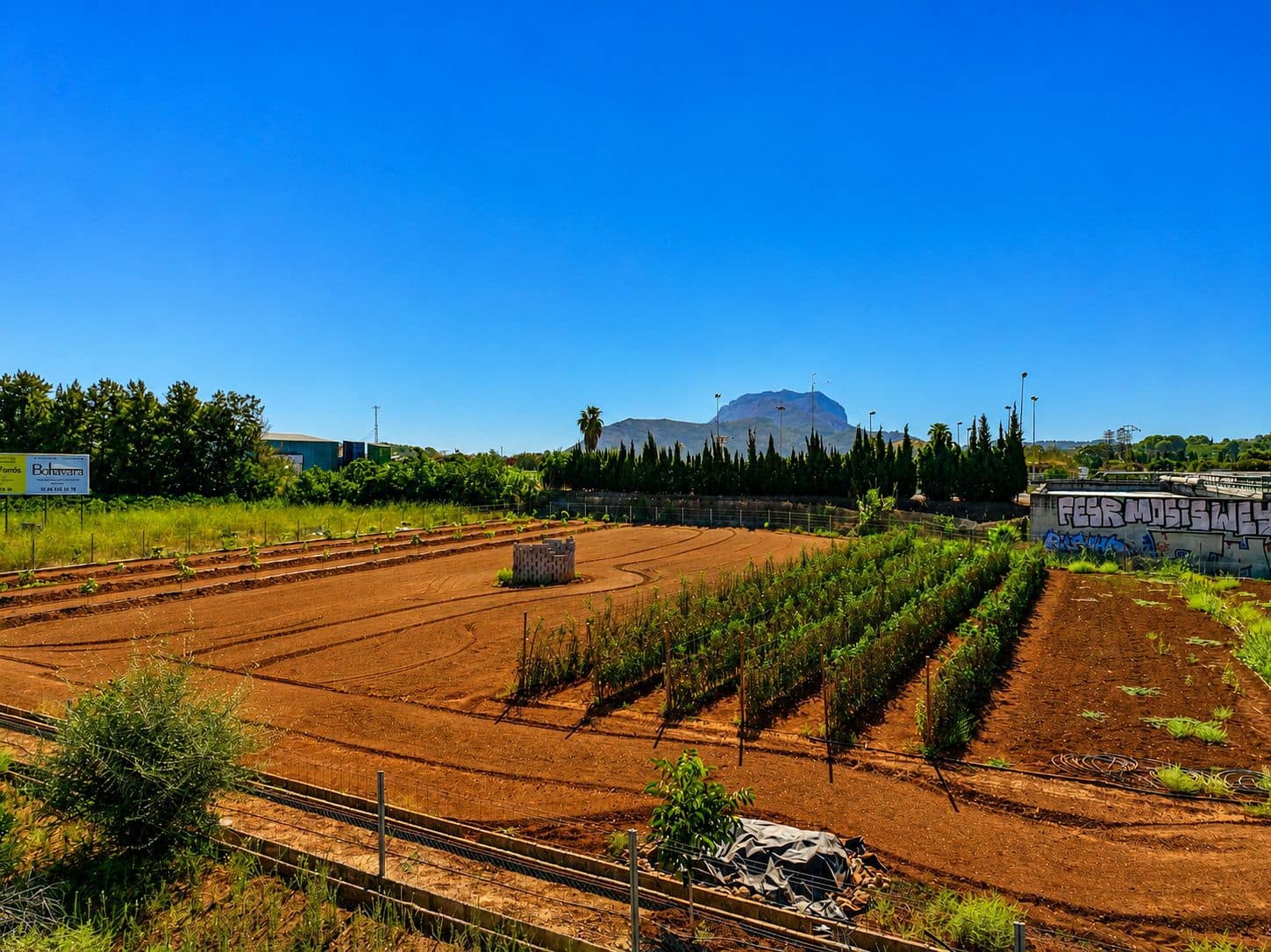 Building Plot for sale in Ondara - € 60,000 (Ref: 10019419)