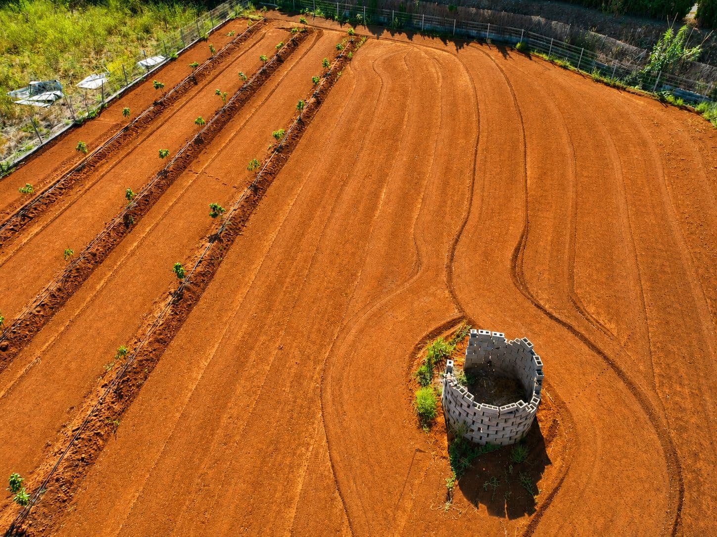 Building Plot for sale in Ondara - € 60,000 (Ref: 10019419)