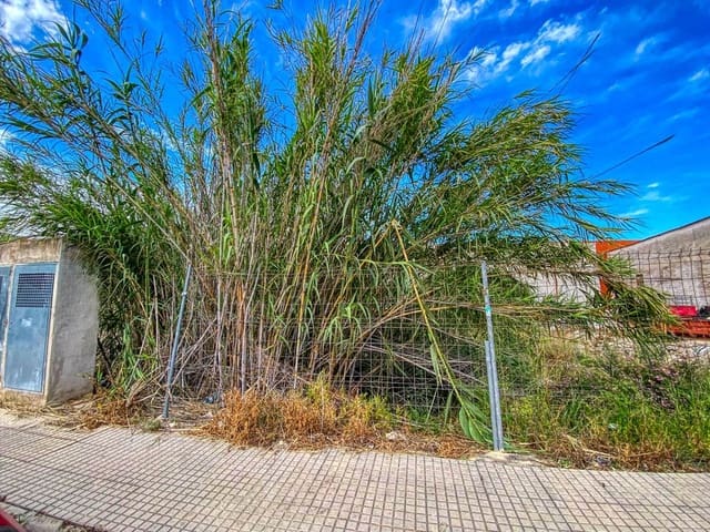 Tontti myytävänä paikassa Pego - 73 000 € (Ref: 9109472)