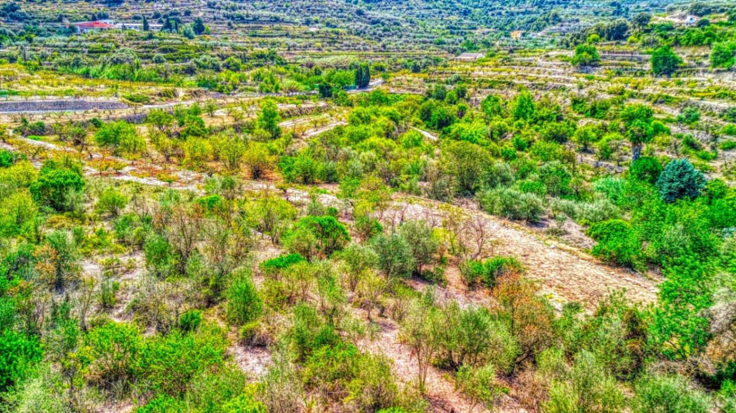 Byggegrund til salg i Patro - € 28.000 (Ref: 9109474)