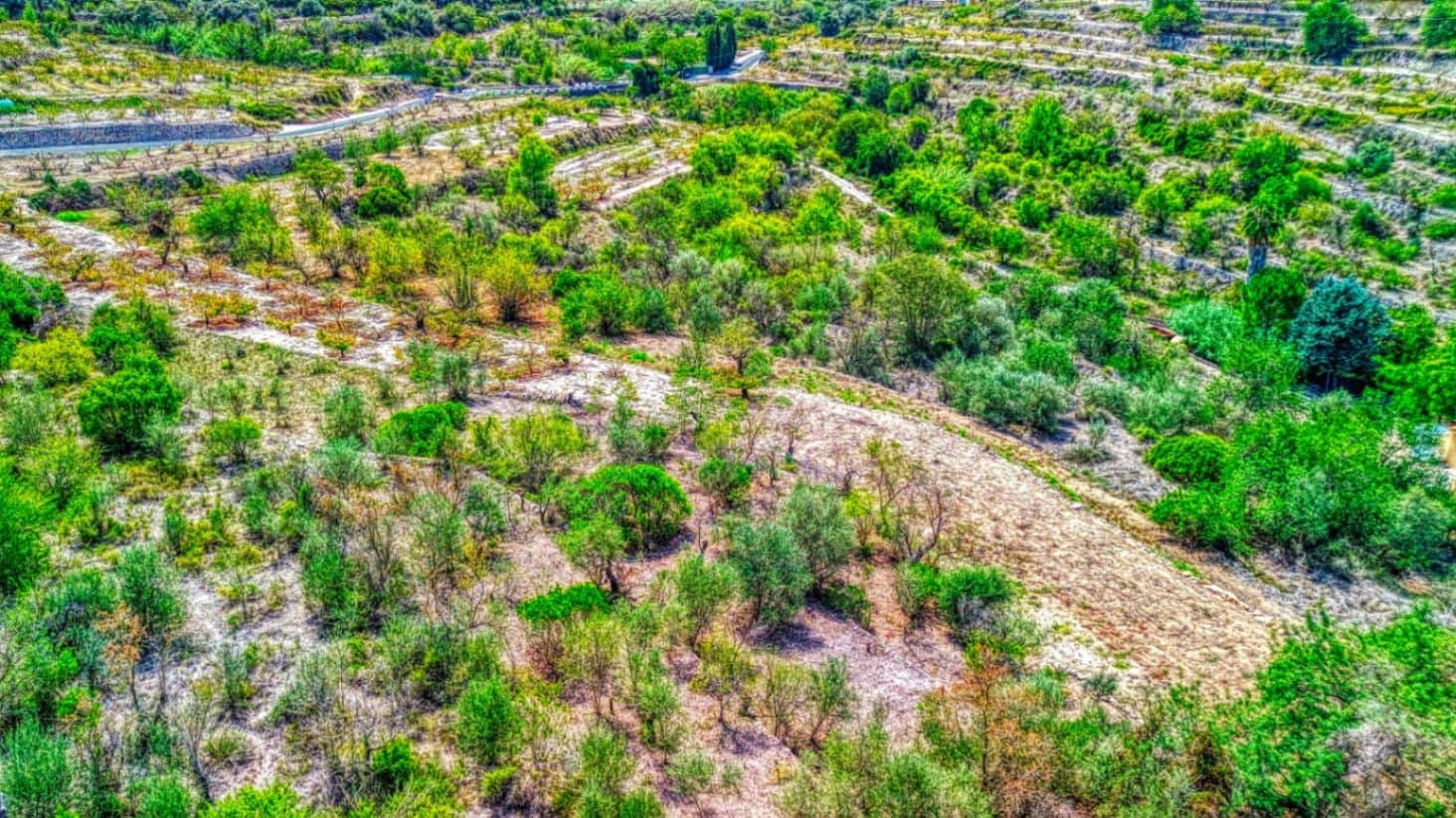 Byggegrund til salg i Patro - € 28.000 (Ref: 9109474)