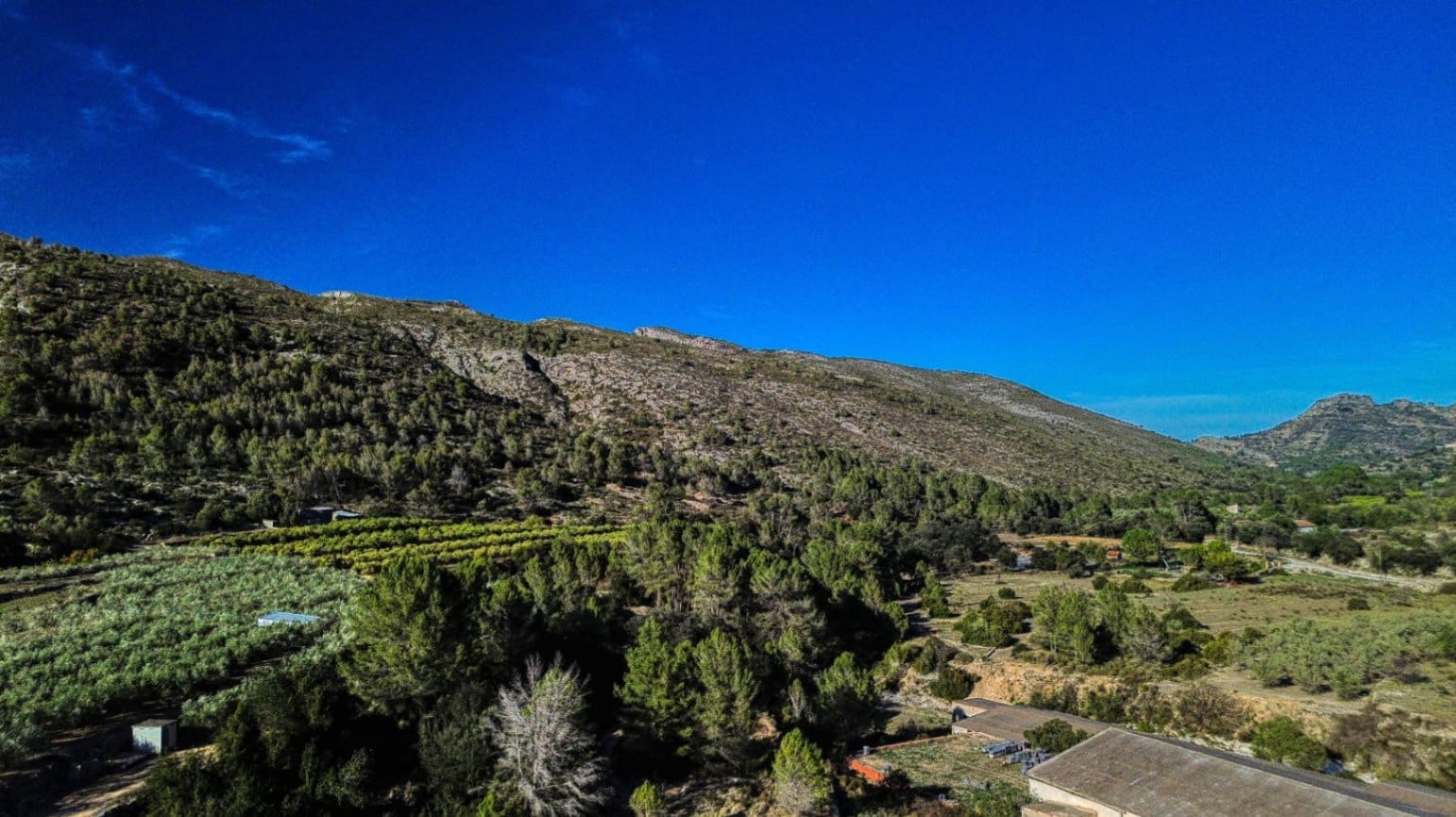 Virksomhed til salg i Beniali - € 90.000 (Ref: 9109478)