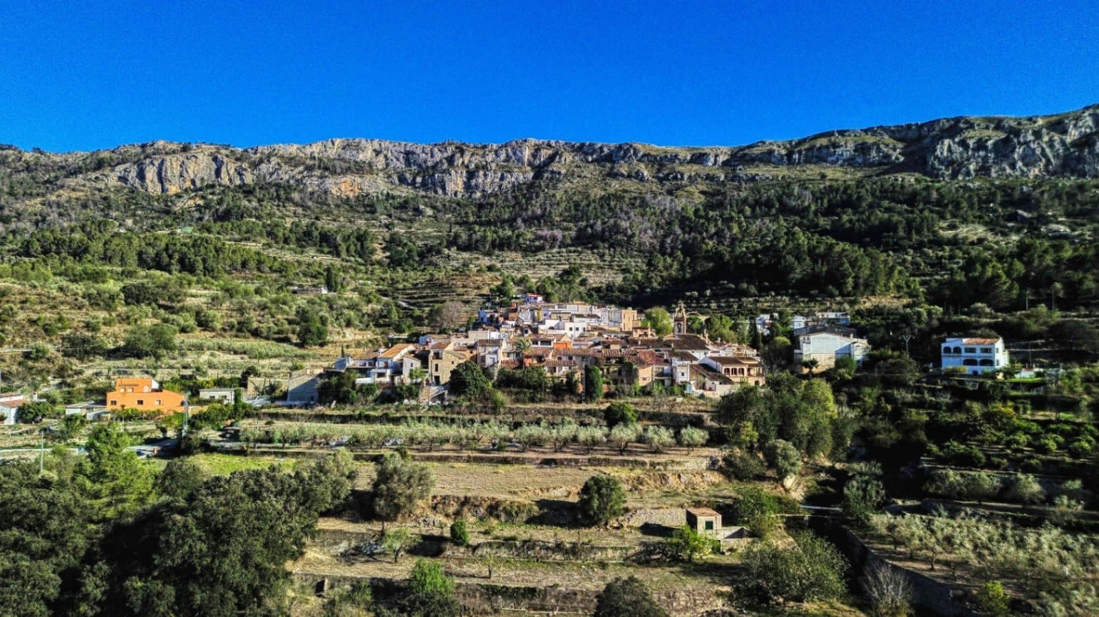 Virksomhed til salg i Beniali - € 90.000 (Ref: 9109478)