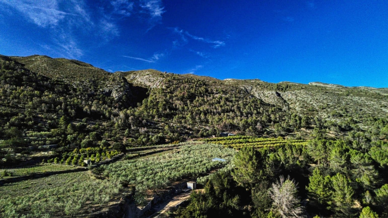 Virksomhed til salg i Beniali - € 90.000 (Ref: 9109478)