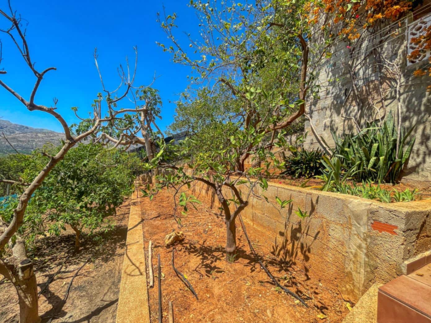 5 chambre Villa/Maison à vendre à Pego - 419 000 € (Ref: 9109495)