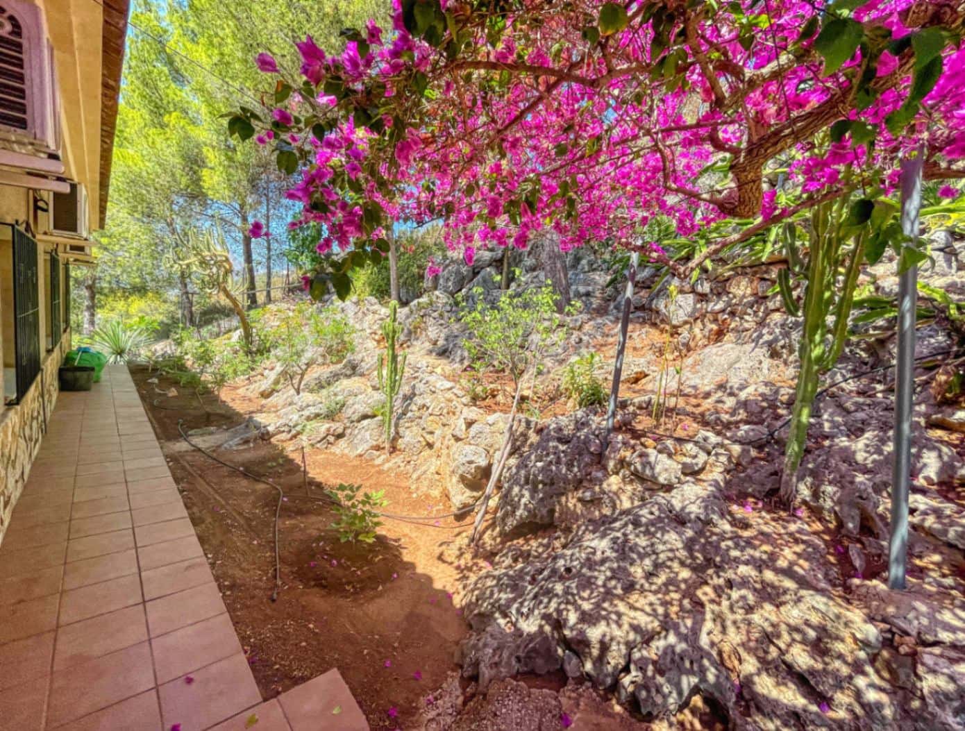 5 chambre Villa/Maison à vendre à Pego - 419 000 € (Ref: 9109495)