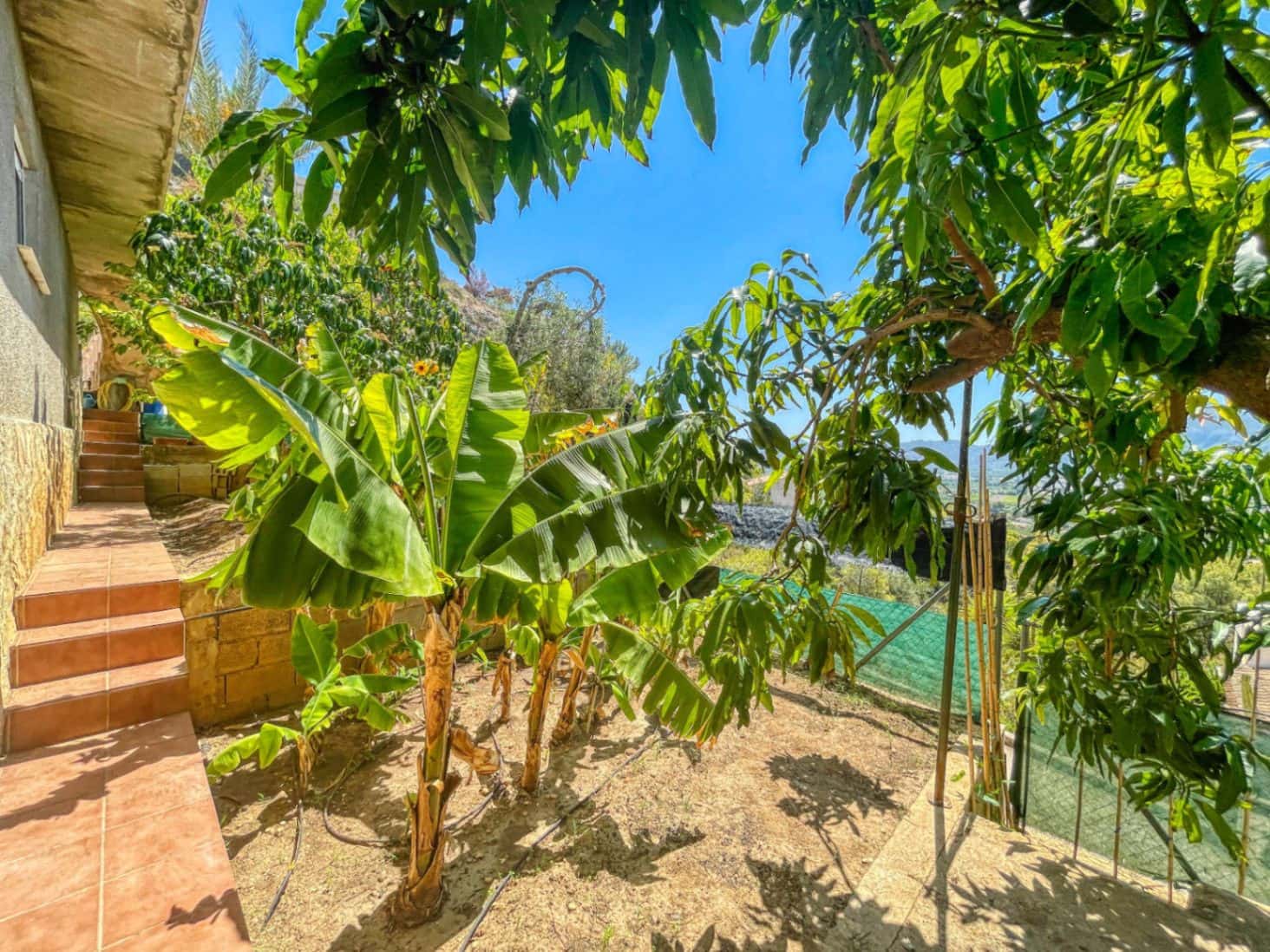 5 chambre Villa/Maison à vendre à Pego - 419 000 € (Ref: 9109495)