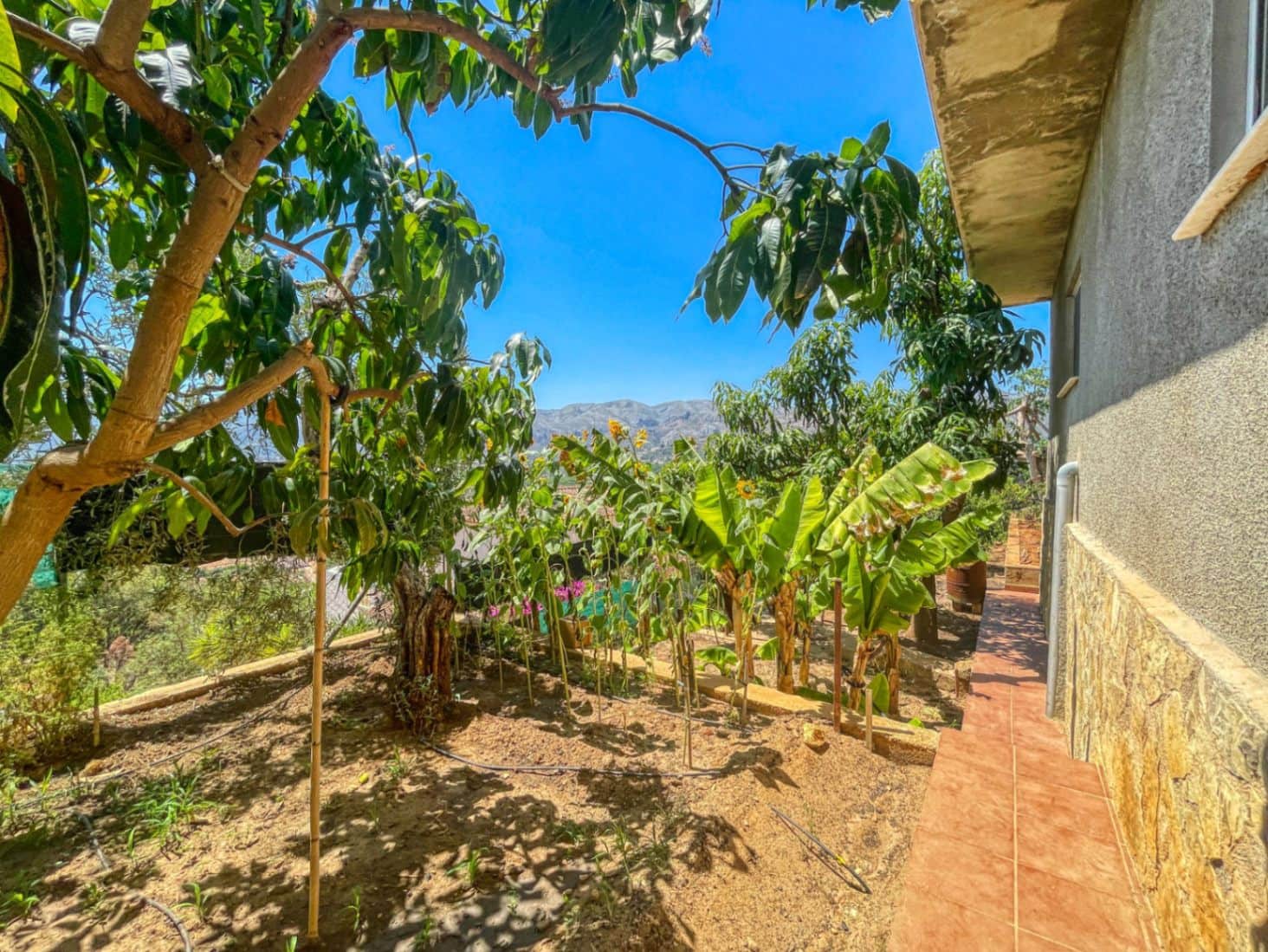 5 chambre Villa/Maison à vendre à Pego - 419 000 € (Ref: 9109495)