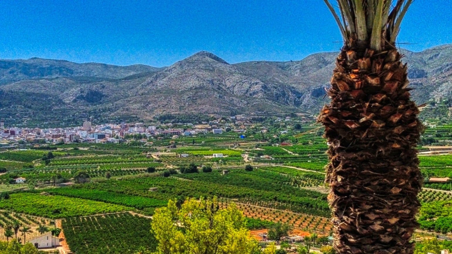 5 chambre Villa/Maison à vendre à Pego - 419 000 € (Ref: 9109495)