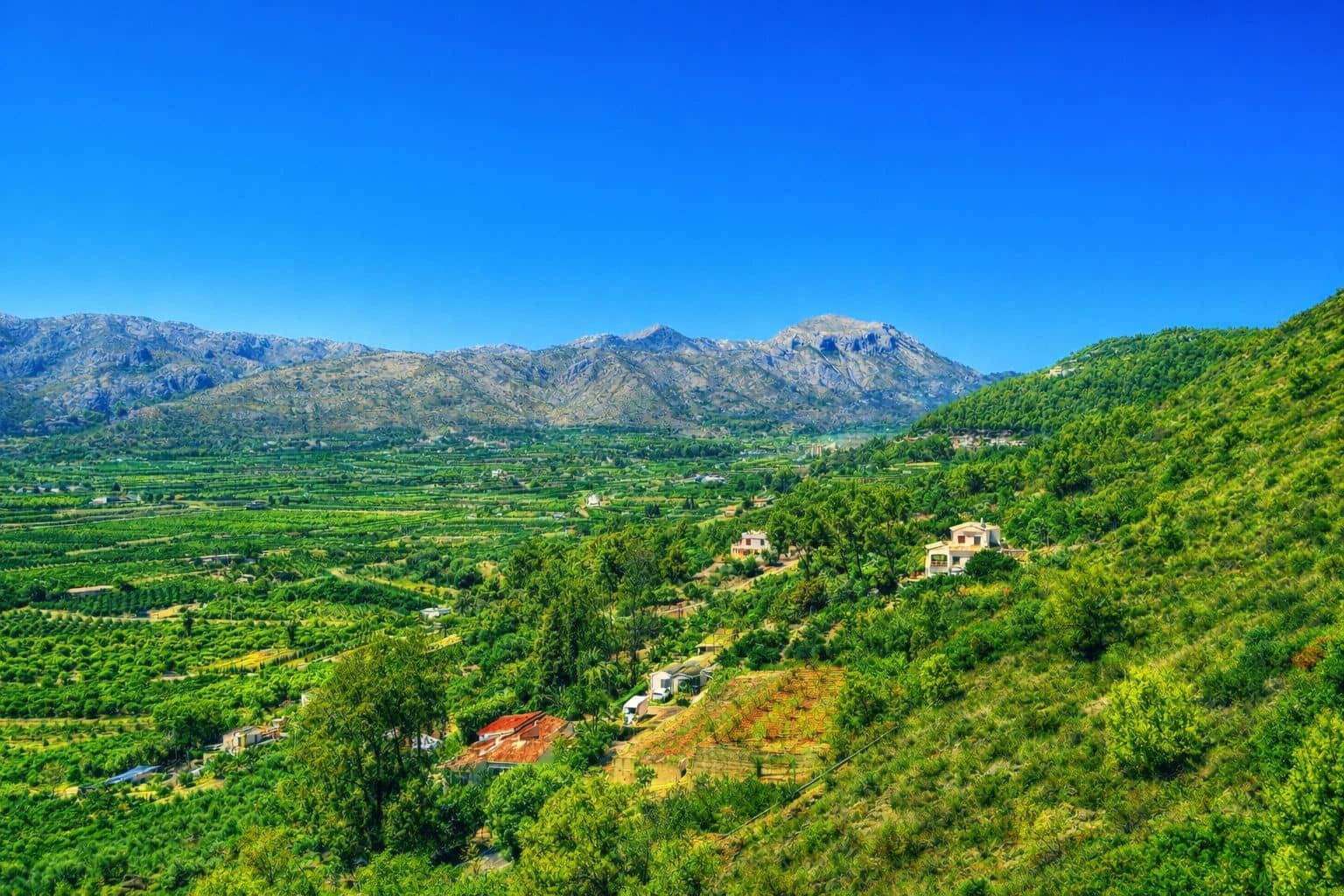 5 chambre Villa/Maison à vendre à Pego - 419 000 € (Ref: 9109495)