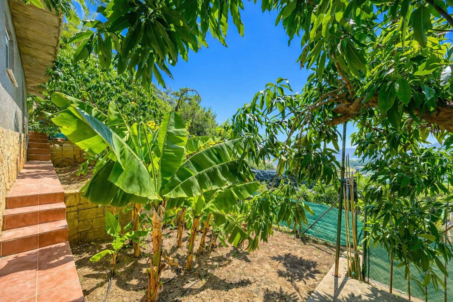 5 chambre Villa/Maison à vendre à Pego - 419 000 € (Ref: 9109495)