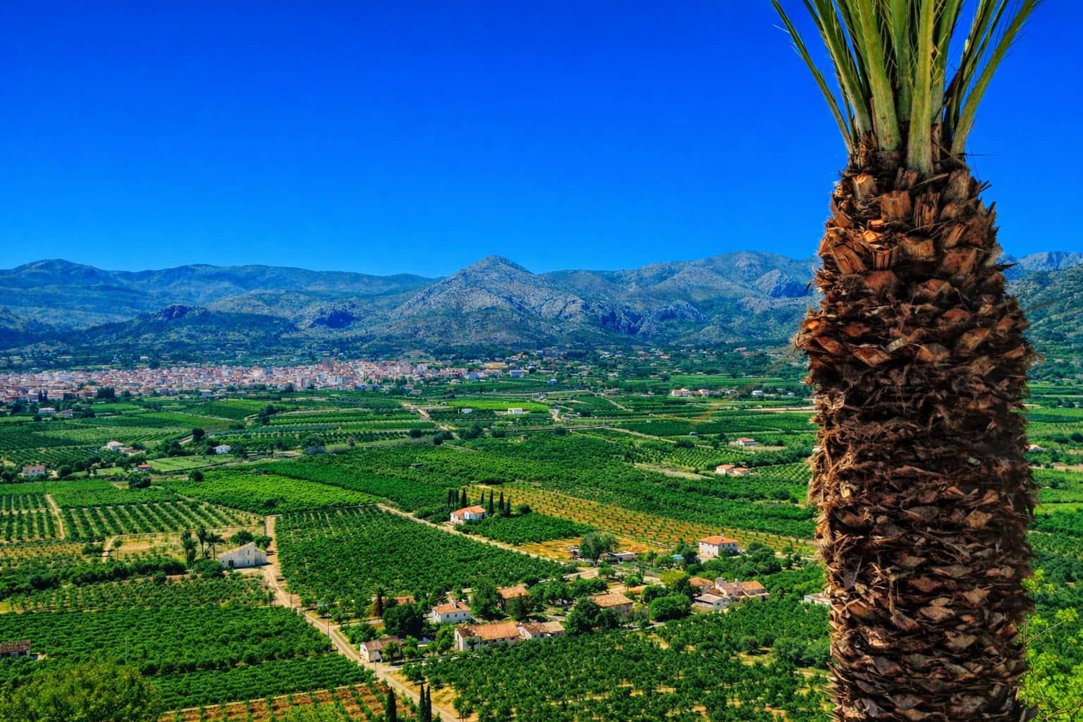 5 chambre Villa/Maison à vendre à Pego - 419 000 € (Ref: 9109495)