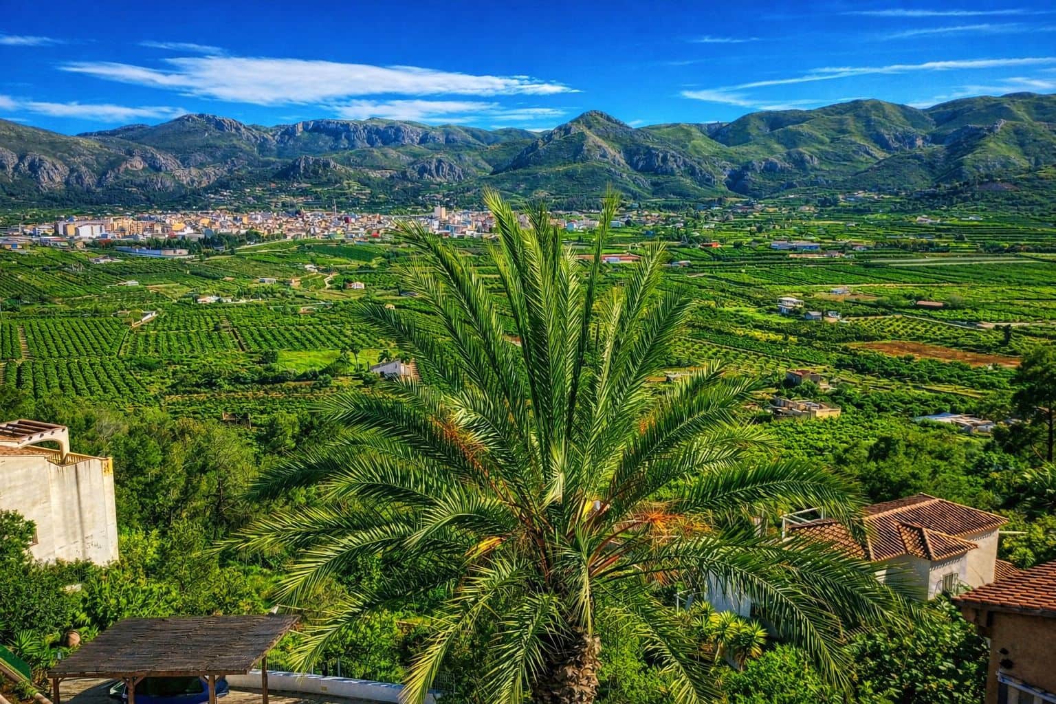 5 chambre Villa/Maison à vendre à Pego - 419 000 € (Ref: 9109495)