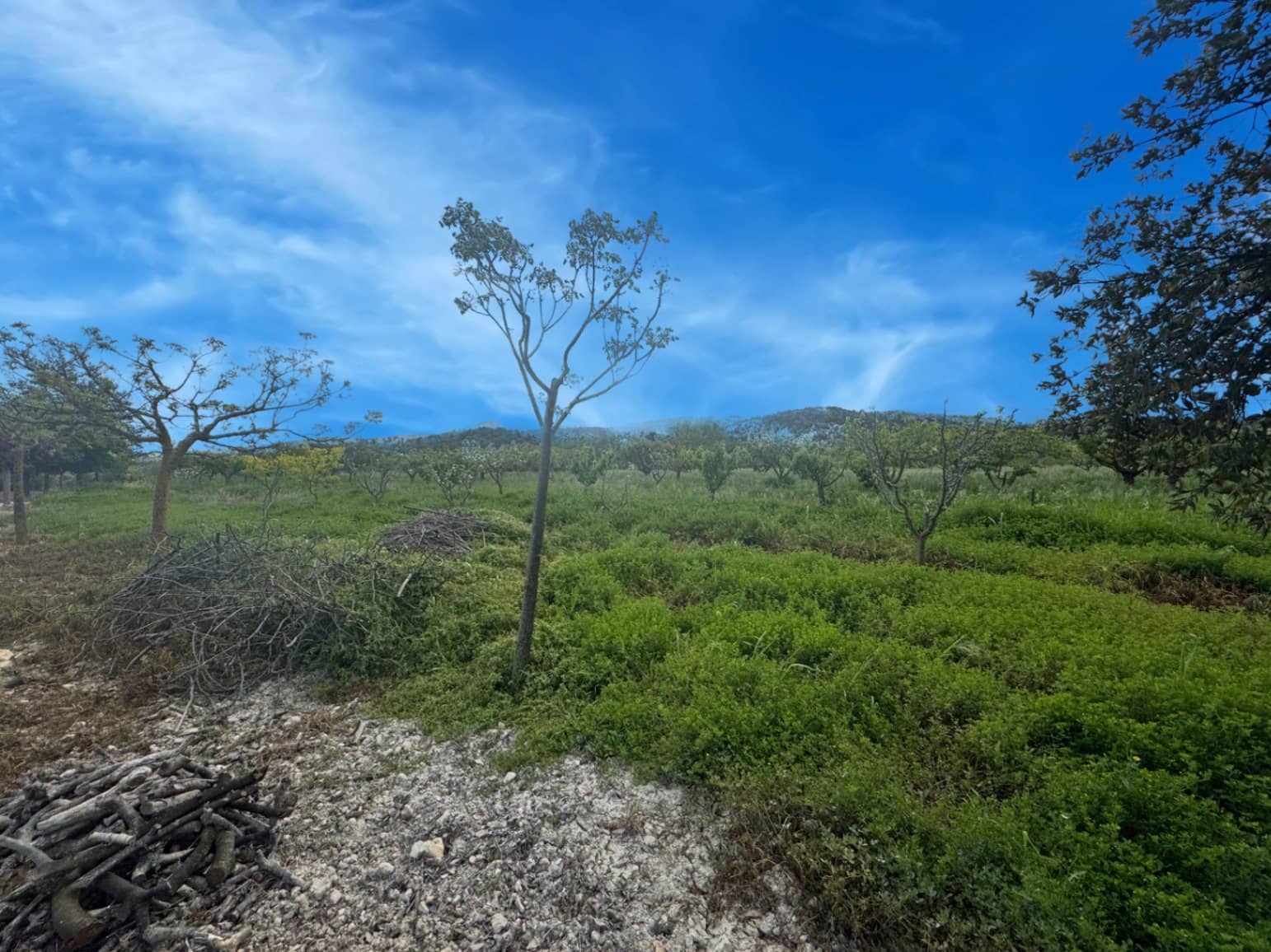 Finca/Casa di Campagna in vendita in La Vall d'Alcala con garage - 129.000 € (Rif: 9189321)