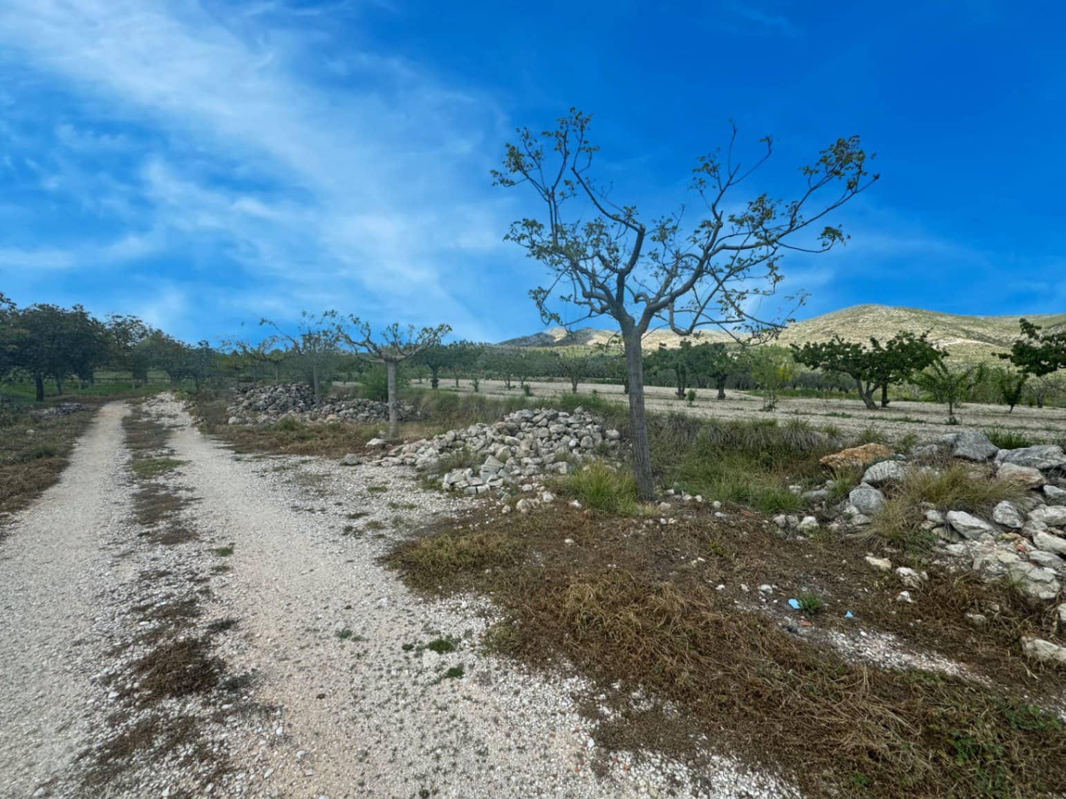 Finca/Casa di Campagna in vendita in La Vall d'Alcala con garage - 129.000 € (Rif: 9189321)