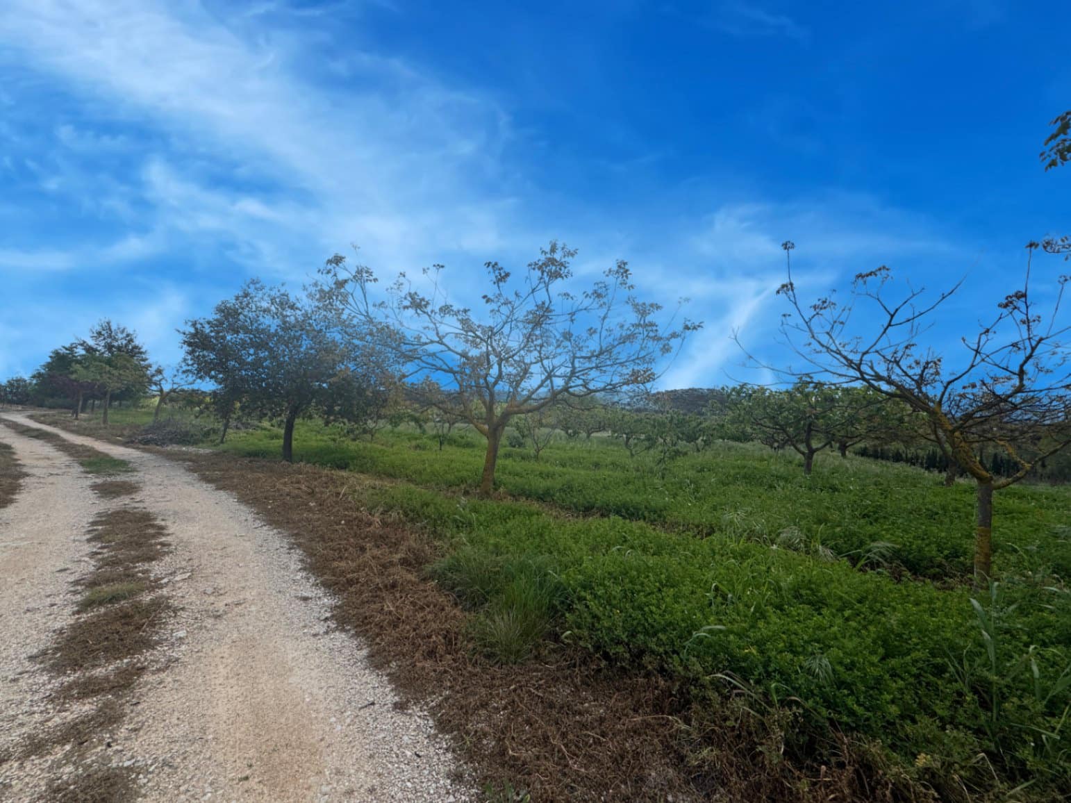 Finca/Casa di Campagna in vendita in La Vall d'Alcala con garage - 129.000 € (Rif: 9189321)