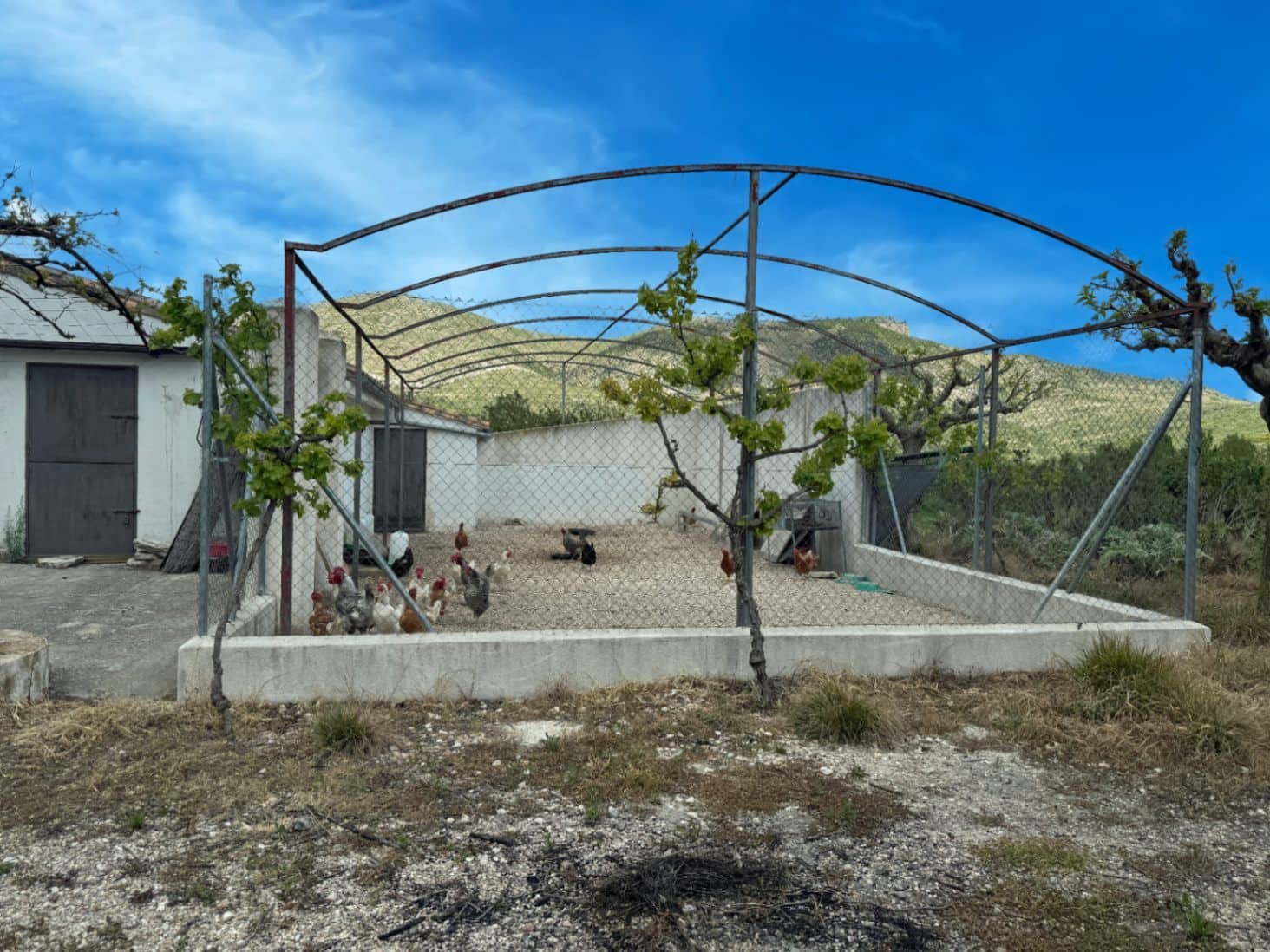 Finca/Casa di Campagna in vendita in La Vall d'Alcala con garage - 129.000 € (Rif: 9189321)