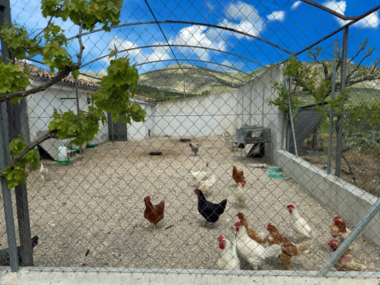 Finca/Casa di Campagna in vendita in La Vall d'Alcala con garage - 129.000 € (Rif: 9189321)