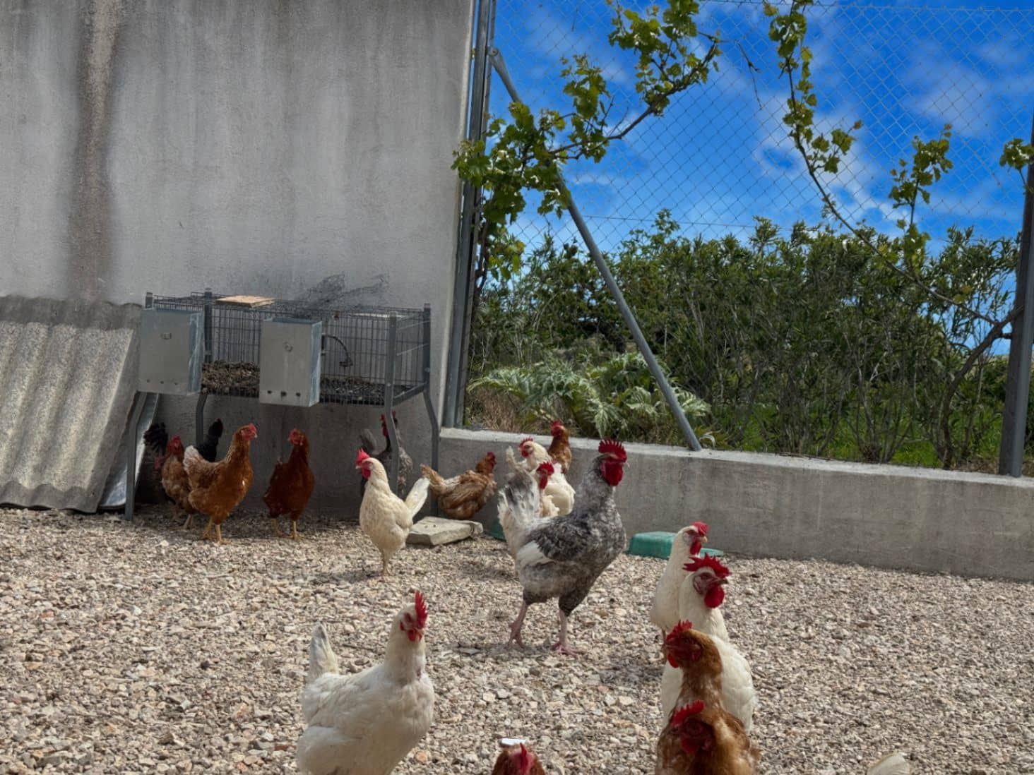 Finca/Casa di Campagna in vendita in La Vall d'Alcala con garage - 129.000 € (Rif: 9189321)