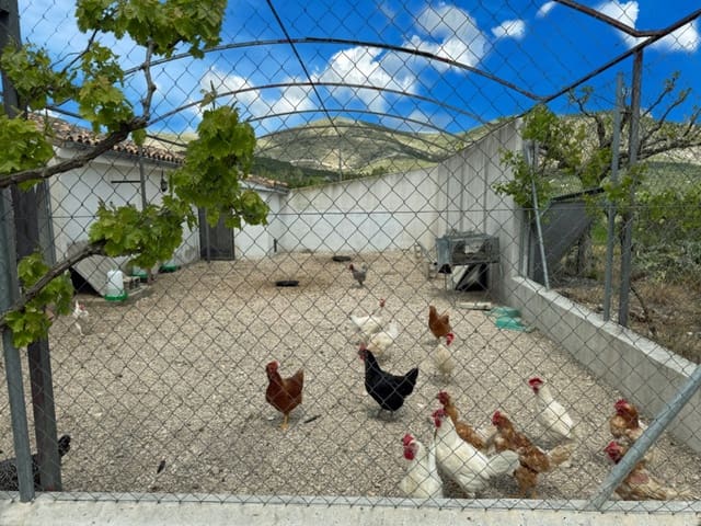 Finca/Landgut zu verkaufen in La Vall d'Alcalà mit Garage - 129.000 € (Ref: 9189321)