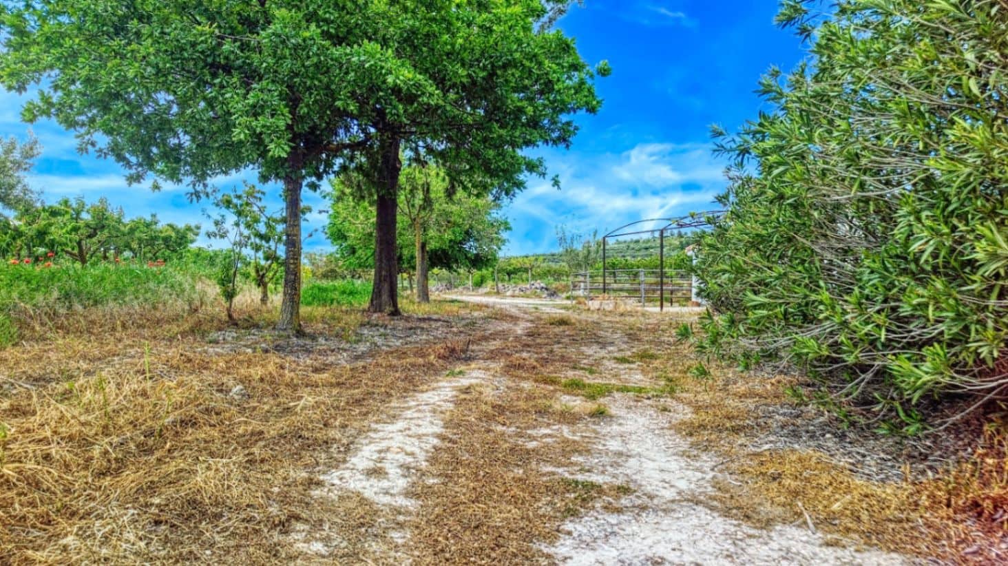 Finca/Casa di Campagna in vendita in La Vall d'Alcala con garage - 129.000 € (Rif: 9189321)