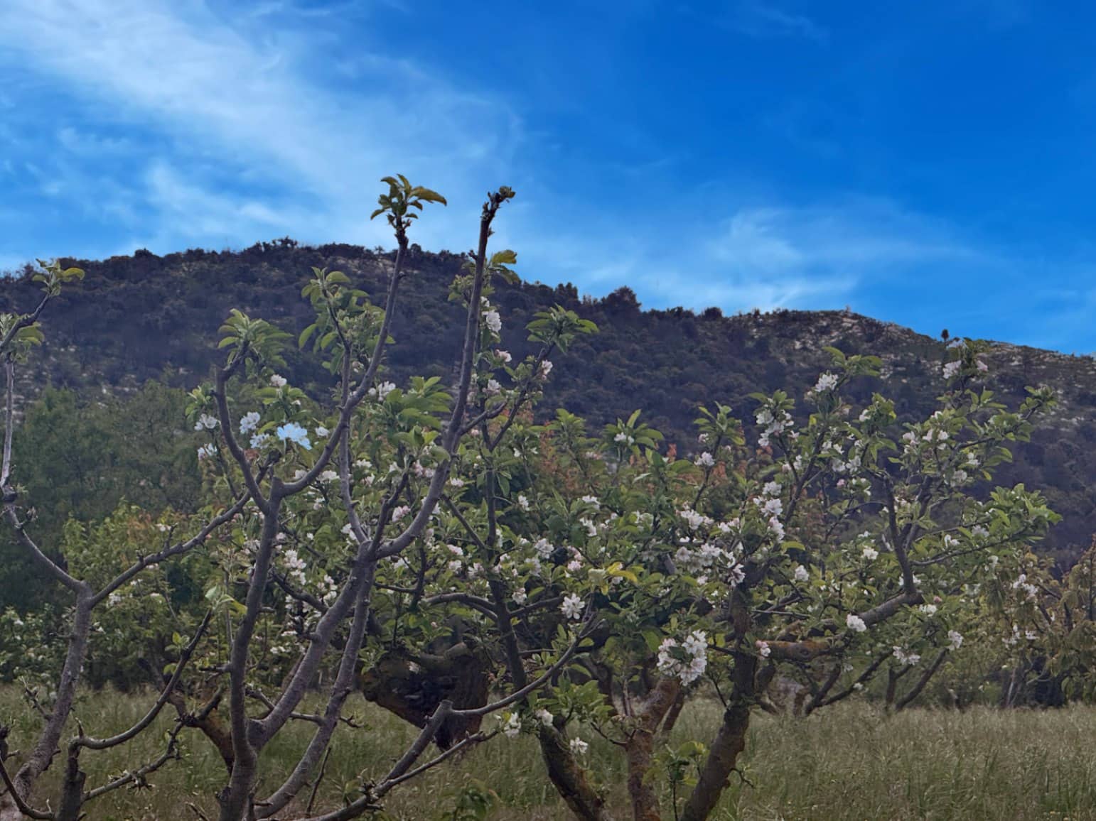 Finca/Casa di Campagna in vendita in La Vall d'Alcala con garage - 129.000 € (Rif: 9189321)