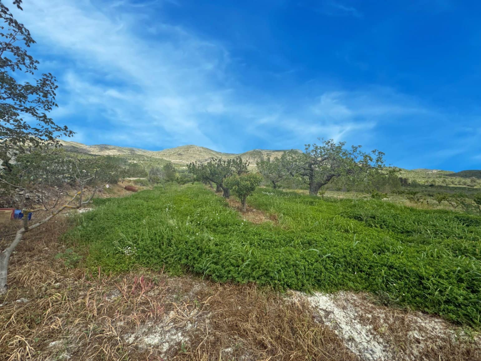 Finca/Casa di Campagna in vendita in La Vall d'Alcala con garage - 129.000 € (Rif: 9189321)