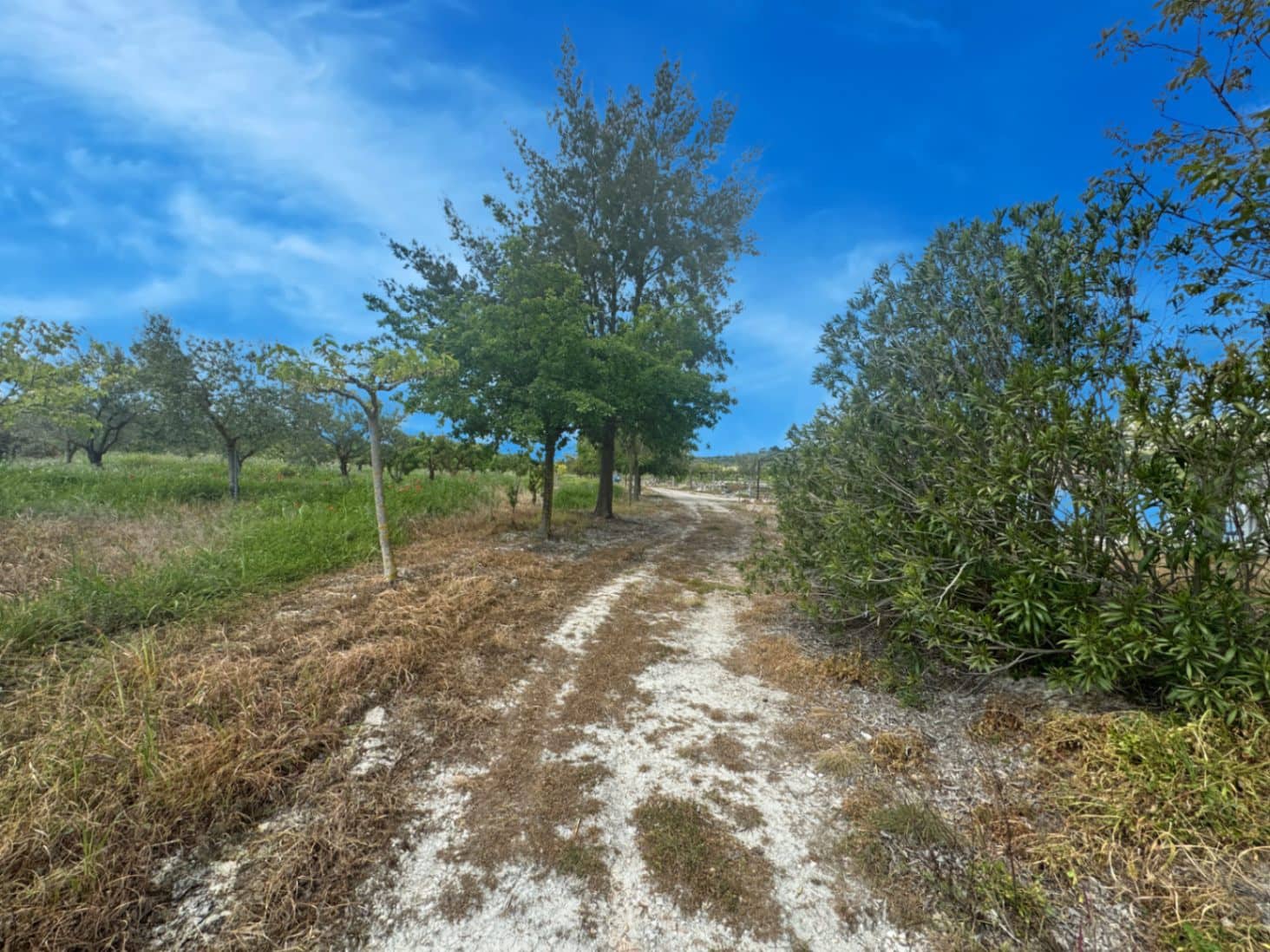 Finca/Casa di Campagna in vendita in La Vall d'Alcala con garage - 129.000 € (Rif: 9189321)