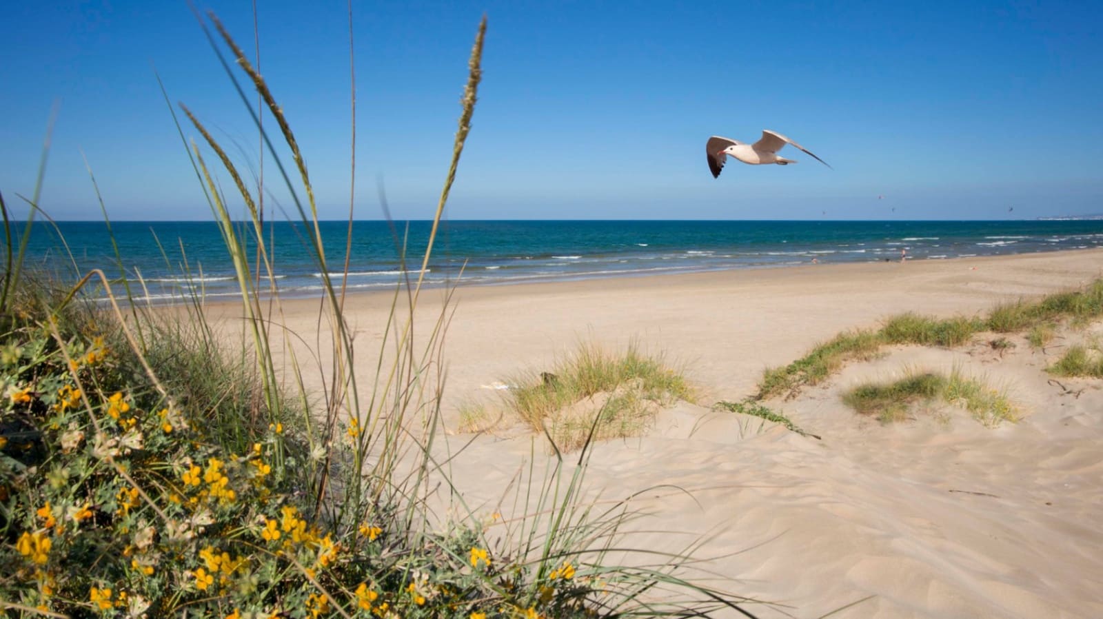 4 sypialnia Mieszkanie na sprzedaż w Pego - 95 000 € (Ref: 9195181)