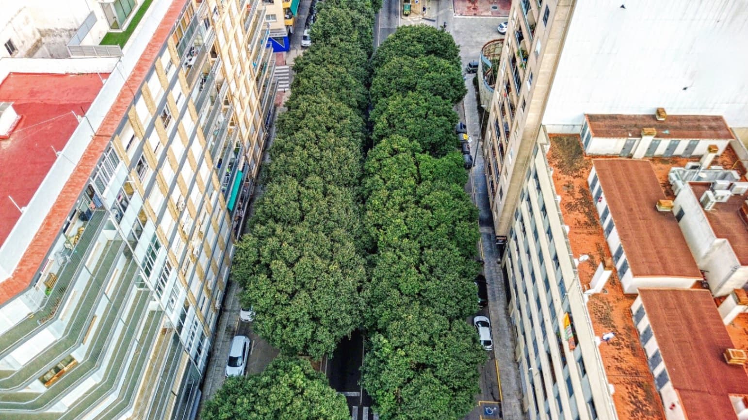 Appartement à vendre à Oliva - 135 000 € (Ref: 9248896)