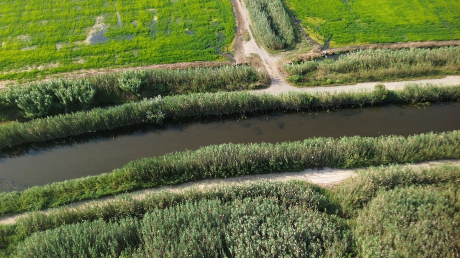 Building Plot for sale in Pego - € 22,000 (Ref: 9265627)