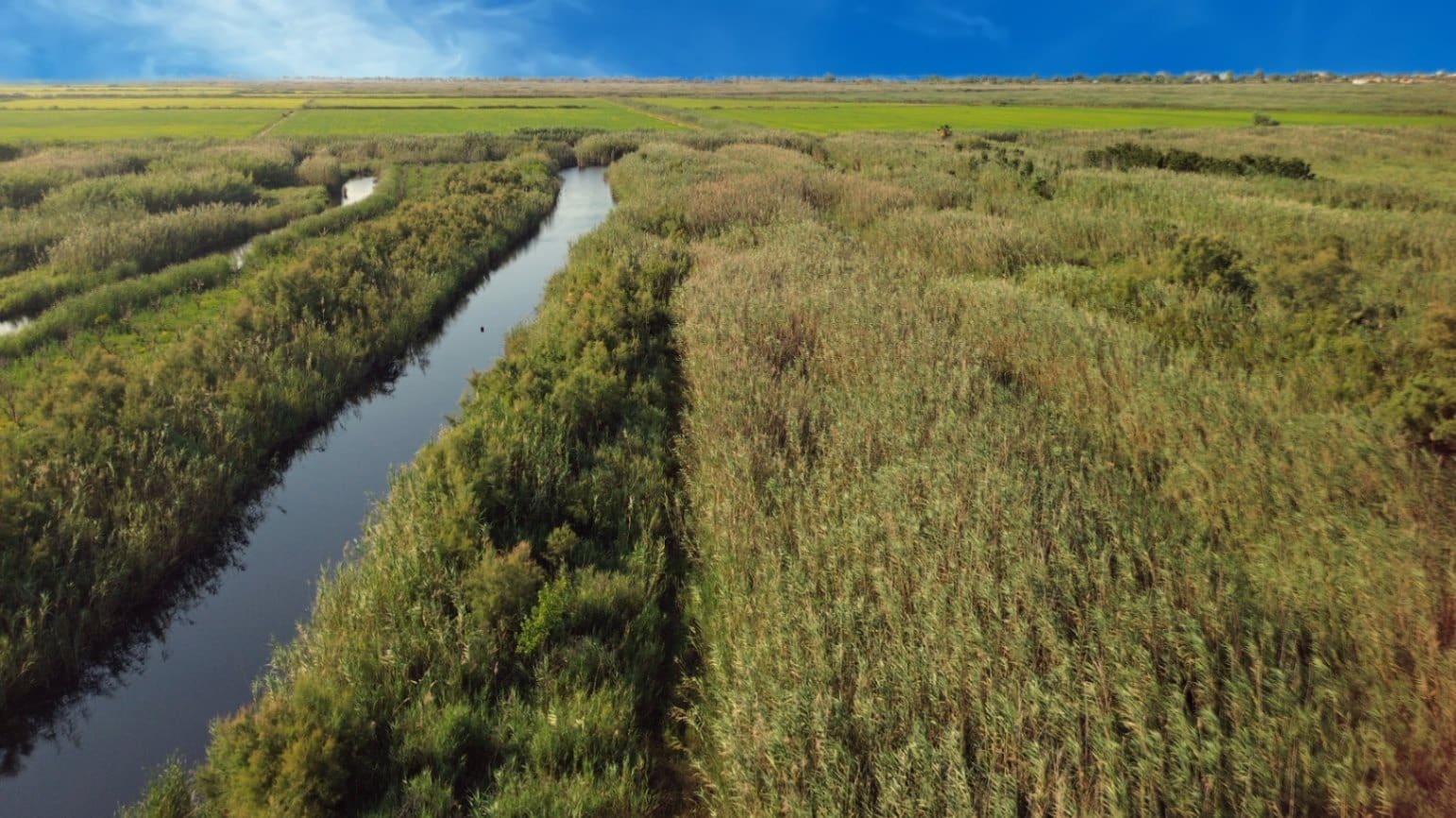 Building Plot for sale in Pego - € 22,000 (Ref: 9265627)