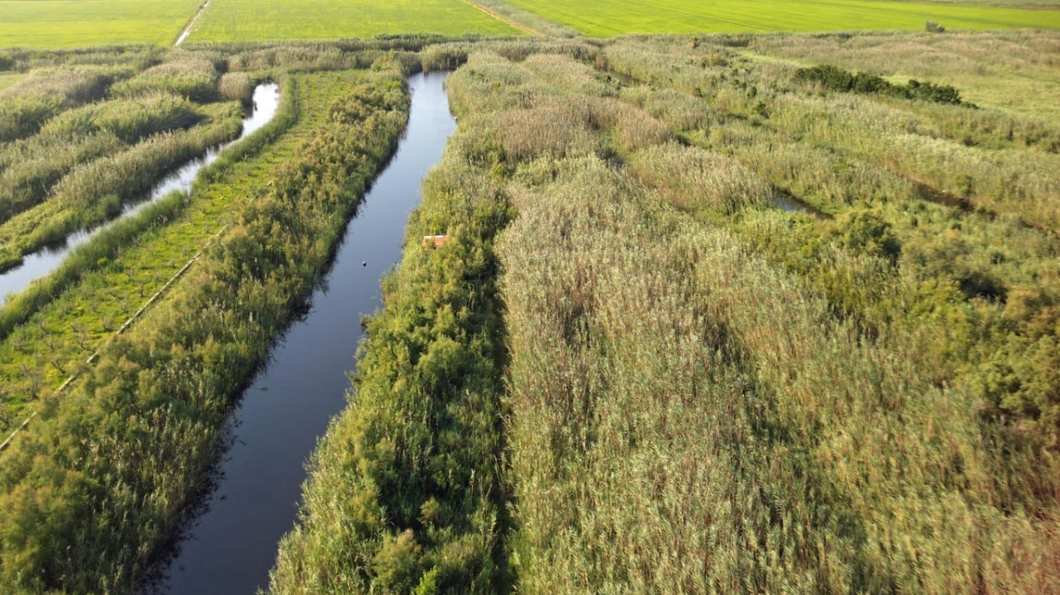 Building Plot for sale in Pego - € 22,000 (Ref: 9265627)