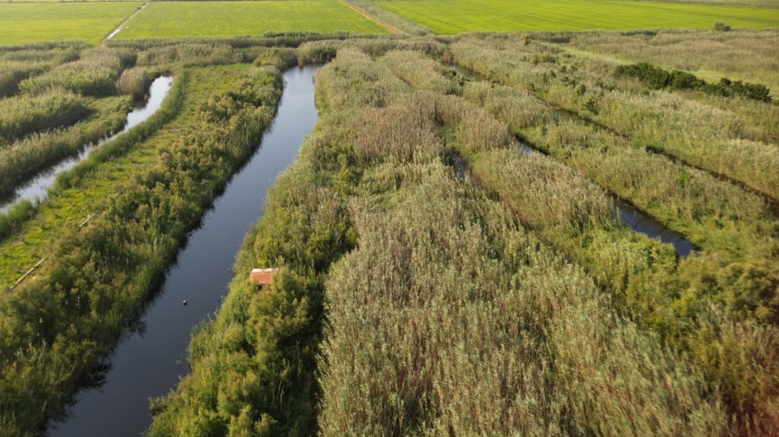 Building Plot for sale in Pego - € 22,000 (Ref: 9265627)